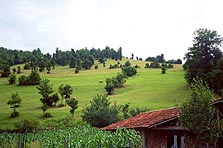 Bulgarian mountain